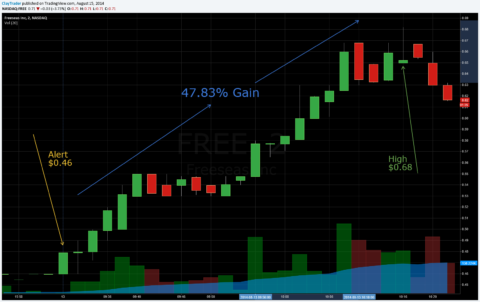 InnerCircle Chat Room Technical Analasys Stock Chart Alart – FreeSeas Inc. (FREE) – Chart