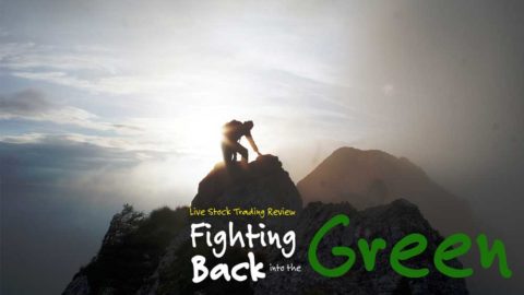 Live Stock Trading Review - Fighting Back in to the Green