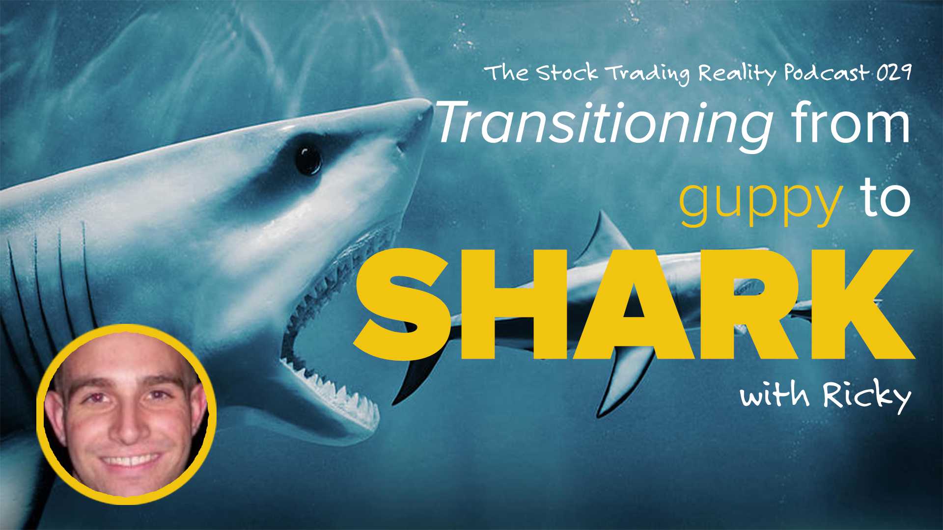 STR 029: Transitioning from Guppy to Shark