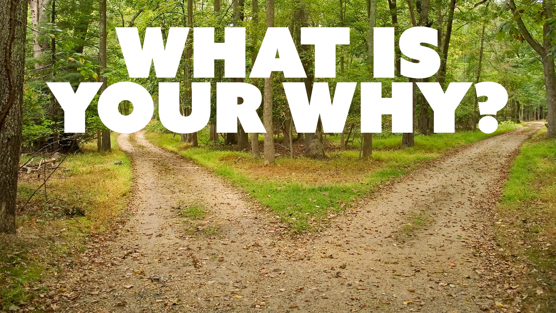 Stock Market Trading: What Is Your WHY?