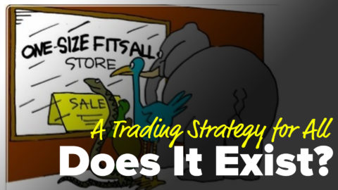 A Trading Strategy for All - Does It Exist?