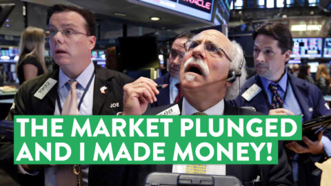 Stock Market Plunges | How I Capitalized and Made Money