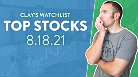 Top 10 Stocks For August 18, 2021 ( $VRPX, $AMC, $SESN, and more! )