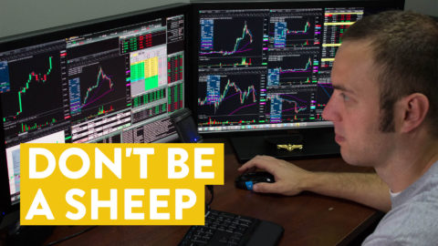 [LIVE] Day Trading | Don't Be A Sheep... (here's why)