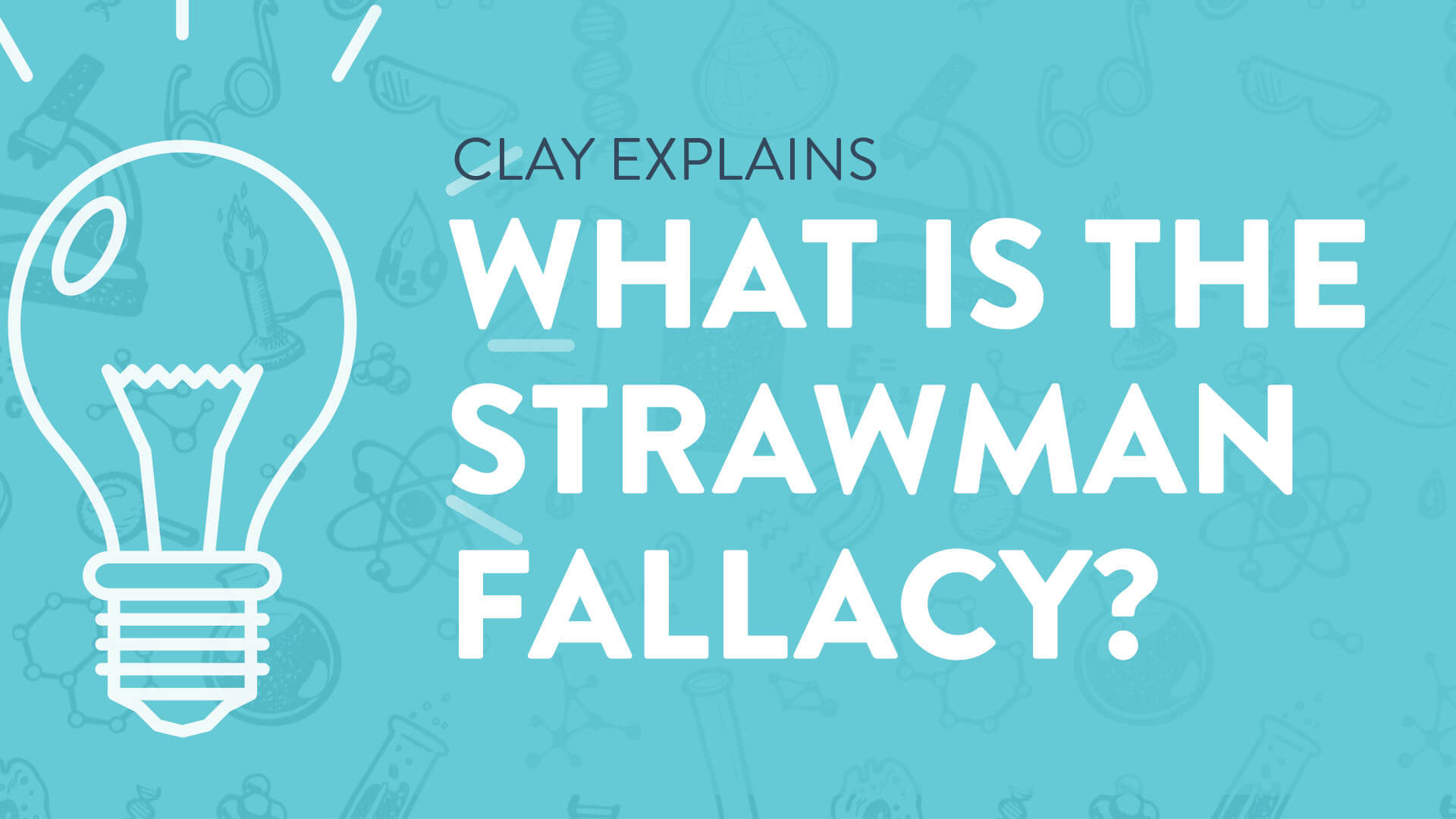 what-is-the-strawman-fallacy