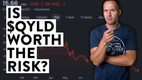 QYLD Investment - Are You Ok With THIS Risk???